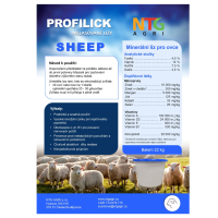 Liz Profilick Sheep 22kg