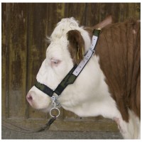 Ohlávka nylonová pre kravy s retiazkou, zelená