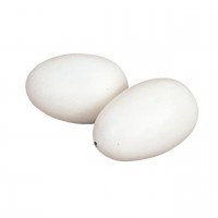 Podkládky (imitácie vajec)